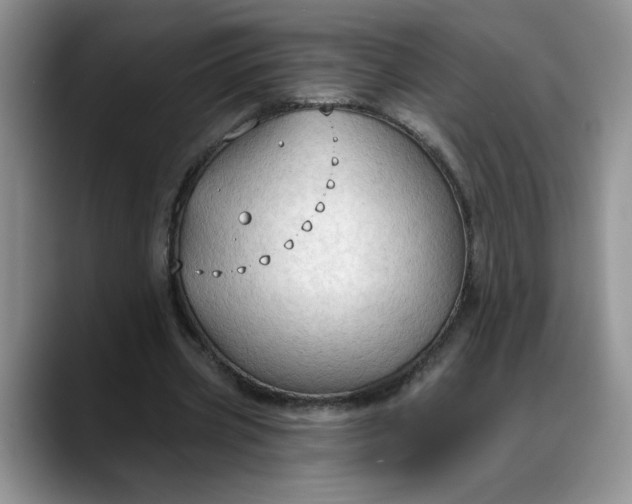 X0000088220533200705292115