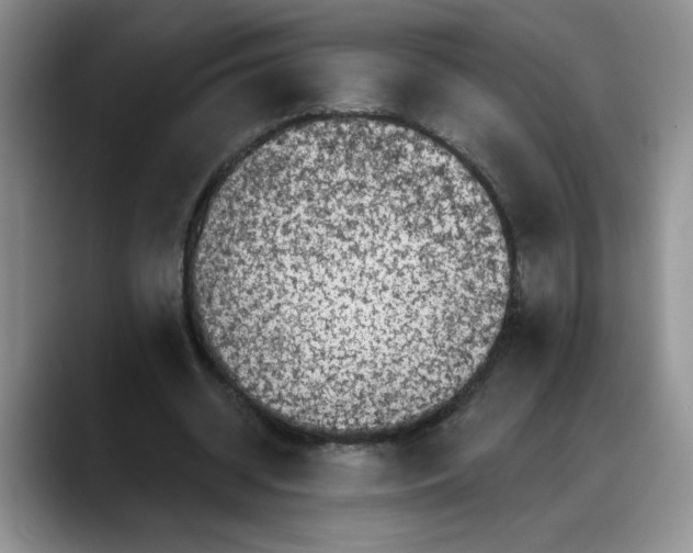 X0000088220534200705292115