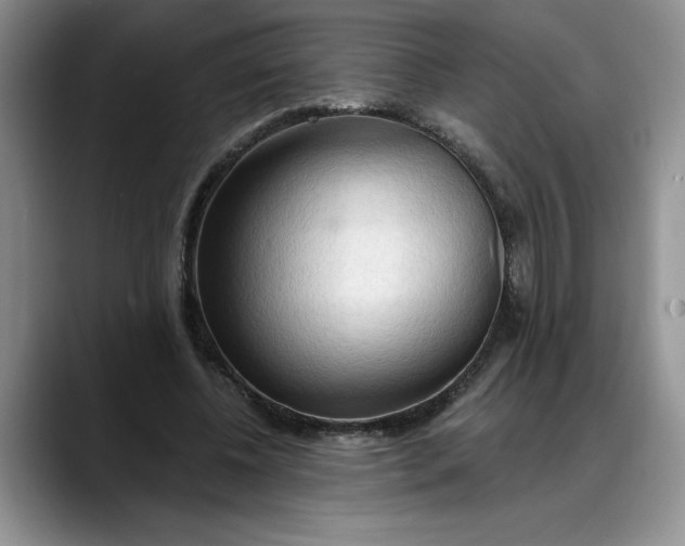 X0000088220540200705292116