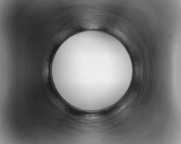 X0000088220541200705292116