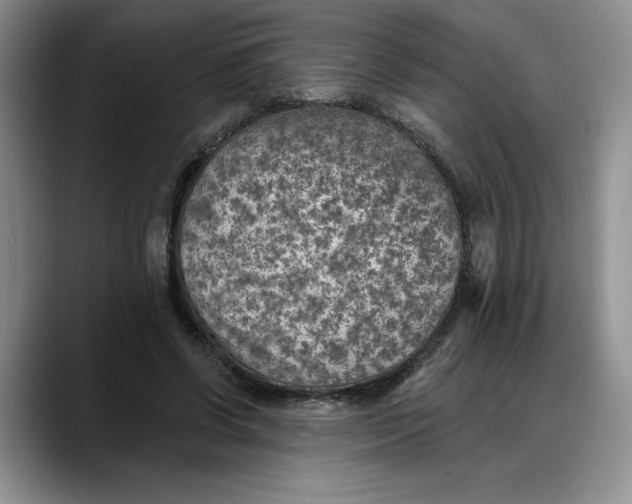 X0000088220542200705292116