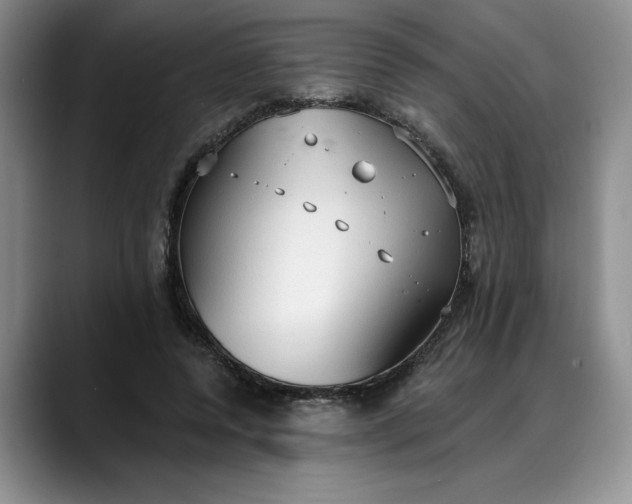 X0000088220544200705292116