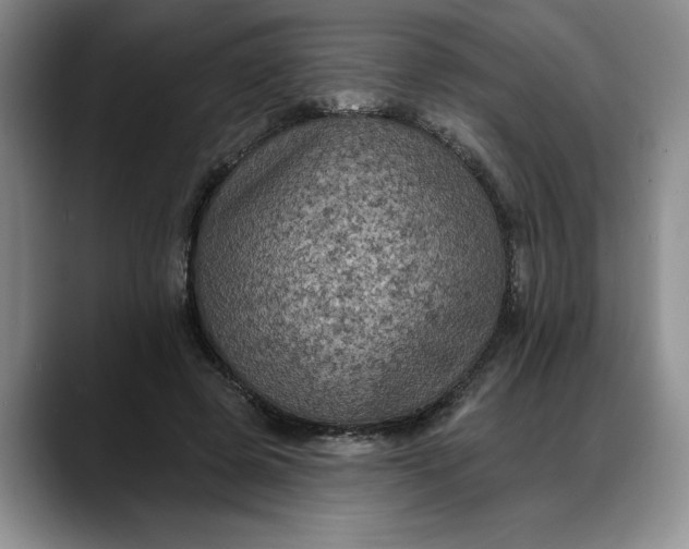 X0000088220545200705292116