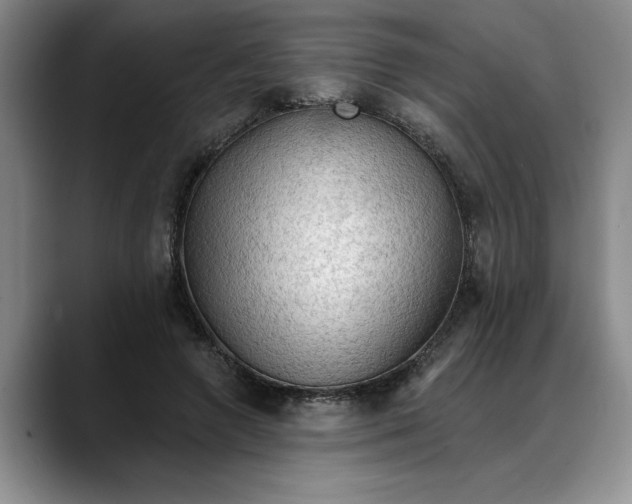 X0000088220546200705292116