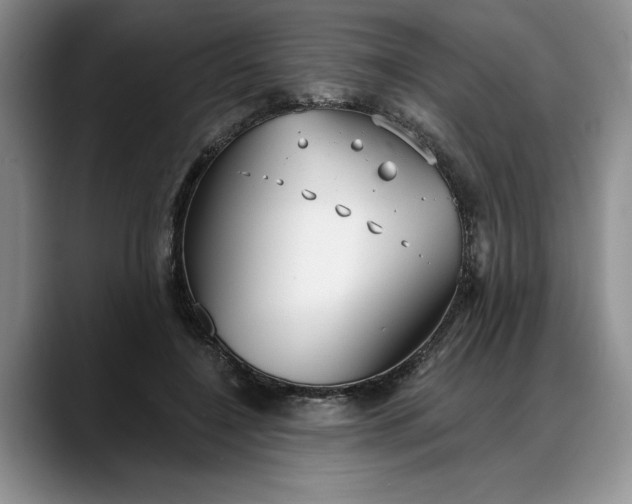 X0000088220548200705292116