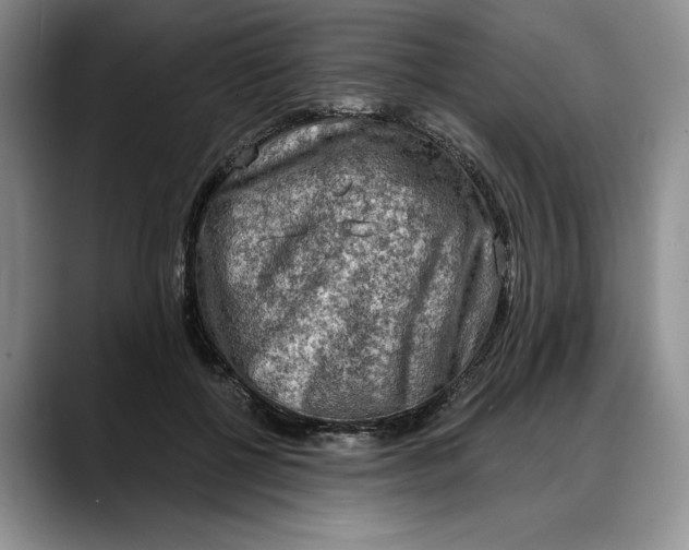 X0000088220552200705292116