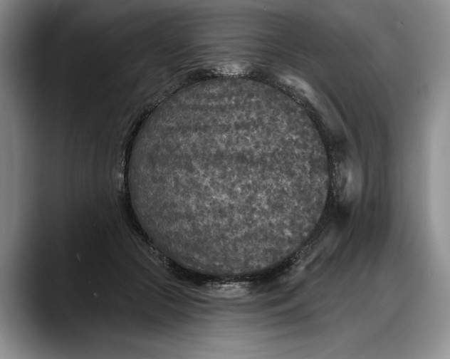 X0000088220553200705292116