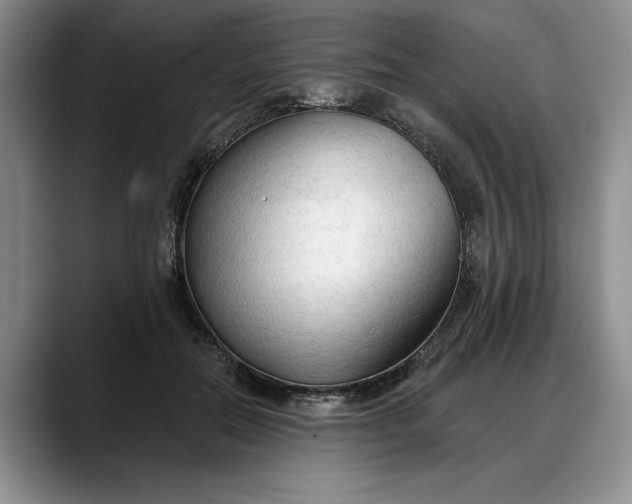 X0000088220554200705292116