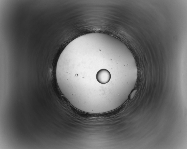 X0000088220556200705292116