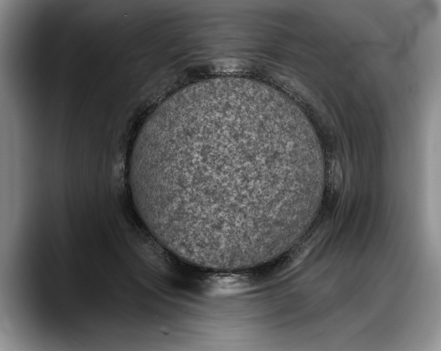 X0000088220557200705292116