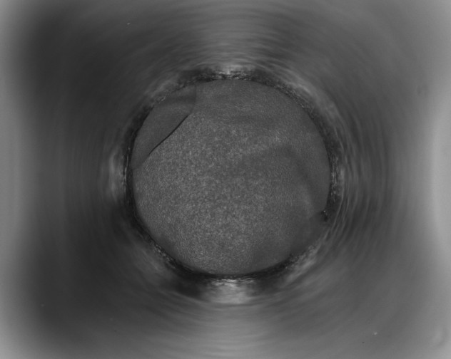 X0000088220558200705292116