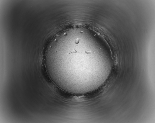 X0000088220560200705292116