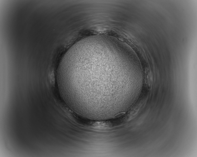 X0000088220562200705292116