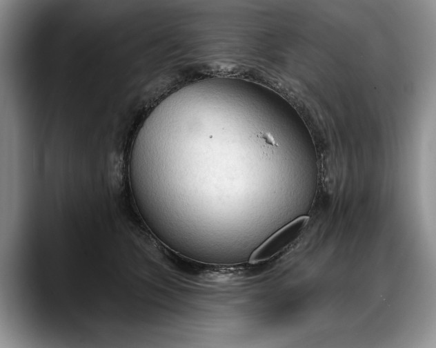 X0000088220563200705292116