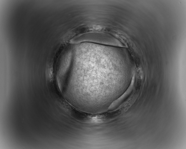 X0000088220564200705292116