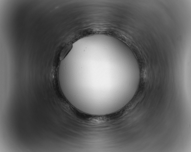 X0000088220567200705292116