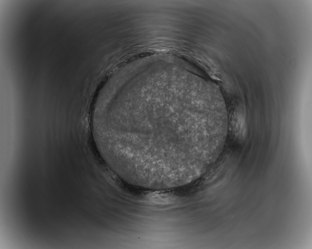 X0000088220568200705292116