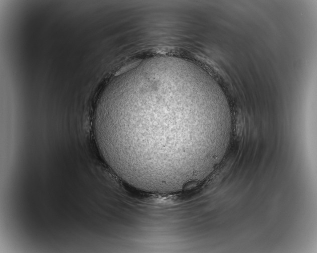 X0000088220569200705292116