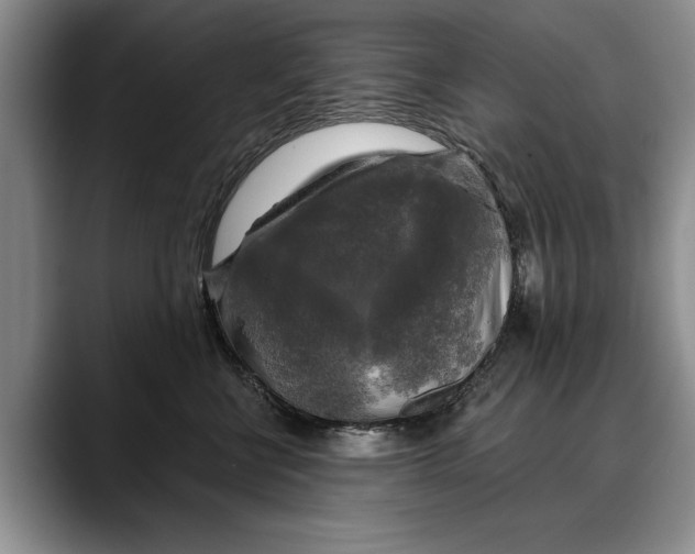 X0000088220570200705292116