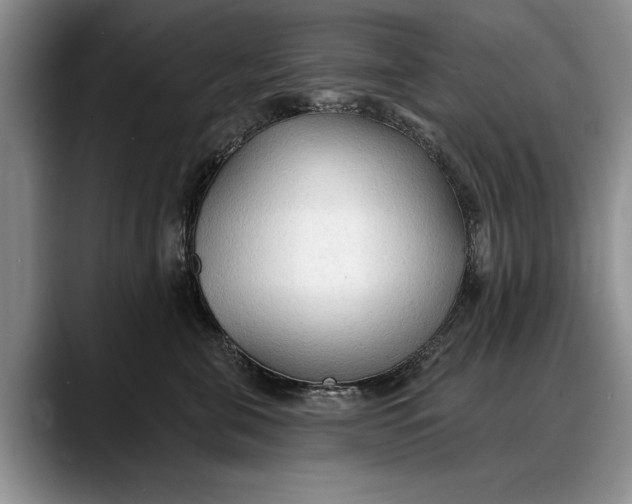 X0000088220571200705292116