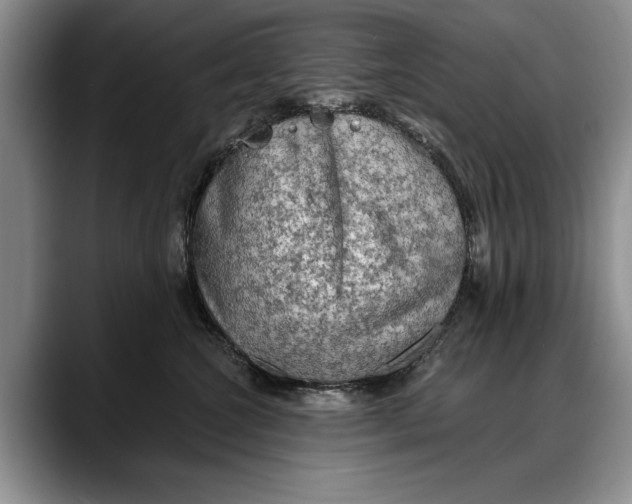 X0000088220572200705292116