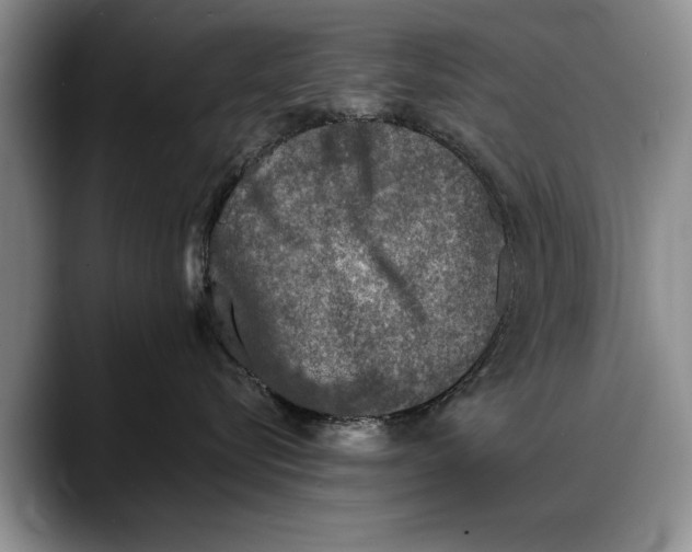 X0000088220576200705292116