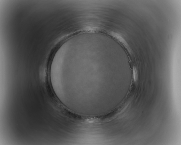 X0000088220579200705292115