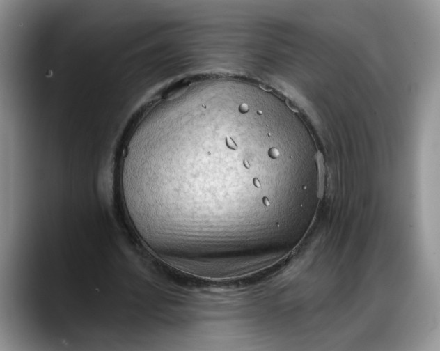 X0000088220580200705292115