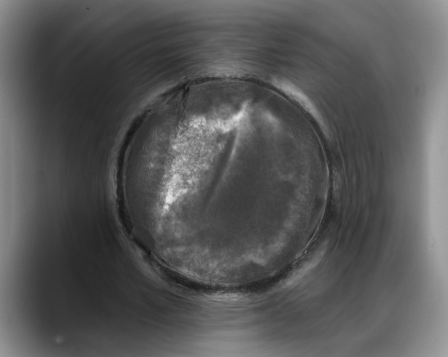 X0000088220581200705292115