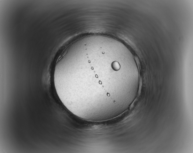 X0000088220584200705292115