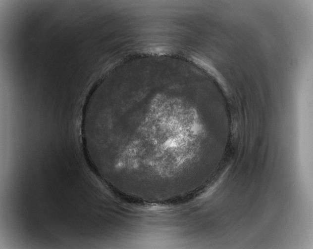 X0000088220585200705292115