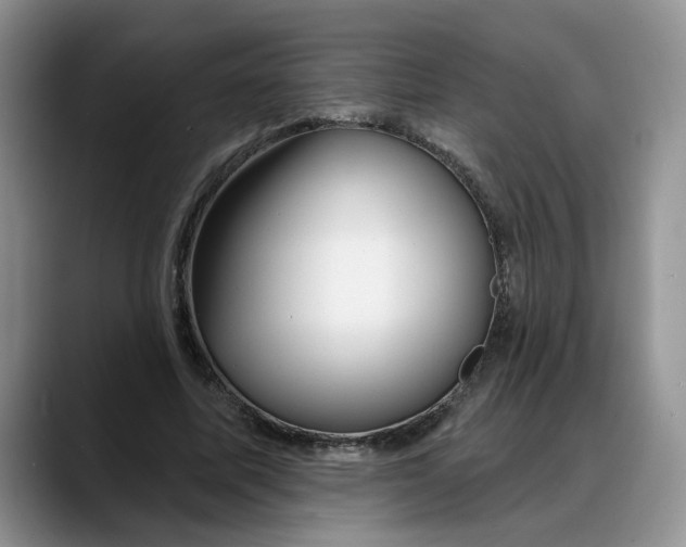 X0000088220587200705292115