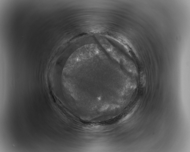 X0000088220589200705292115