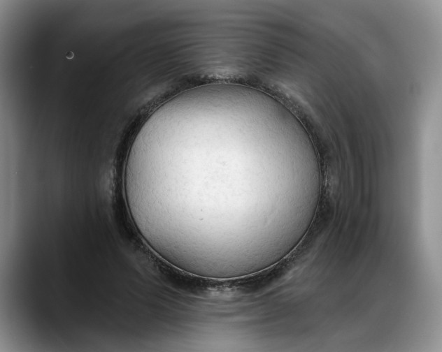 X0000088220591200705292115