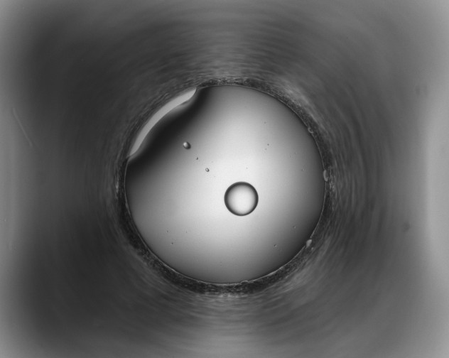 X0000088220593200705292115