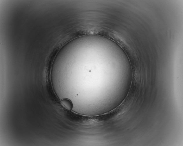 X0000088220594200705292115