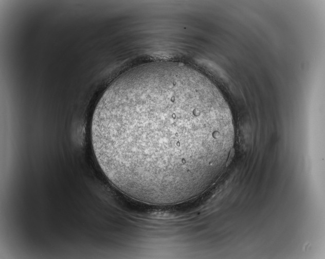 X0000088220596200705292115