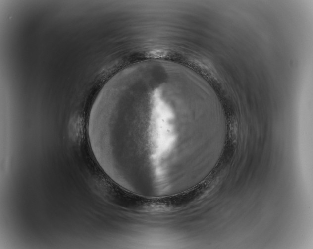 X0000088220598200705292115