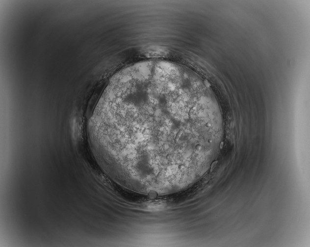 X0000088220604200705292115