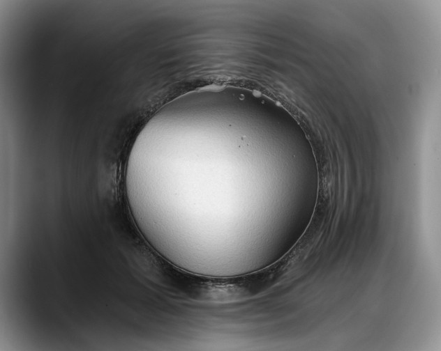 X0000088220605200705292115