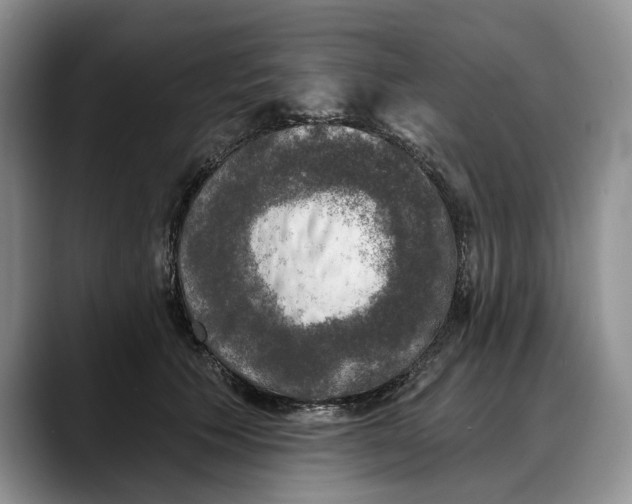 X0000088220609200705292115