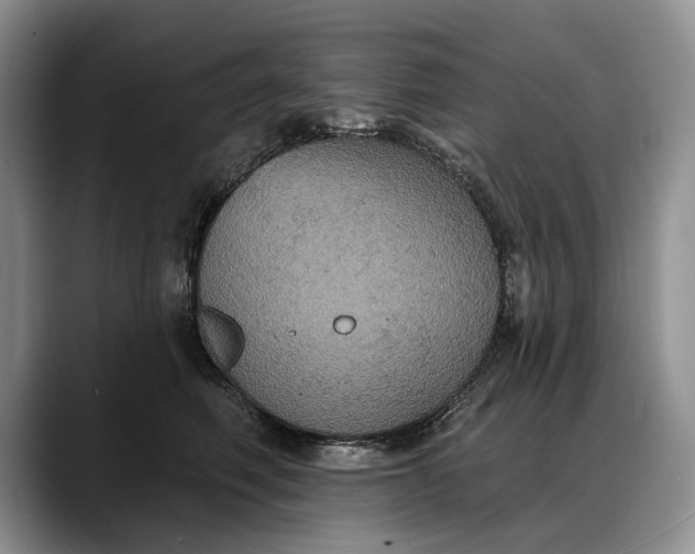 X0000088220614200705292115