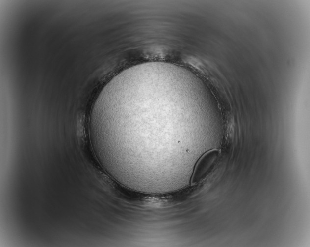 X0000088220616200705292115