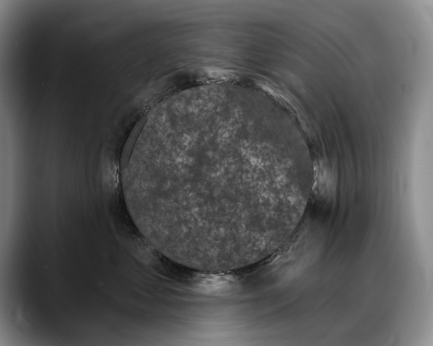 X0000088220621200705292115