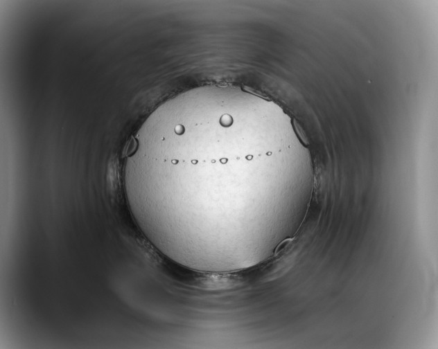 X0000088220623200705292115