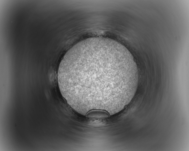 X0000088220624200705292115