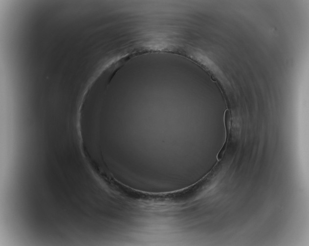 X0000088220626200705292114