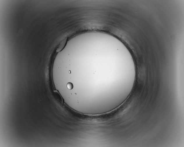 X0000088220629200705292114