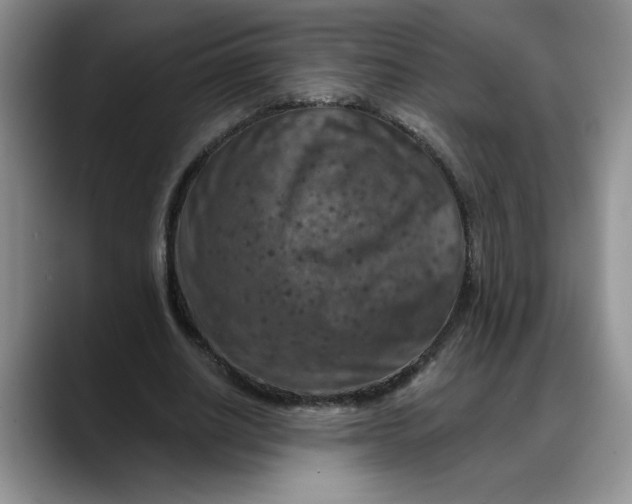 X0000088220630200705292114