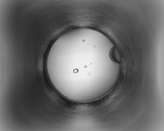 X0000088220631200705292114